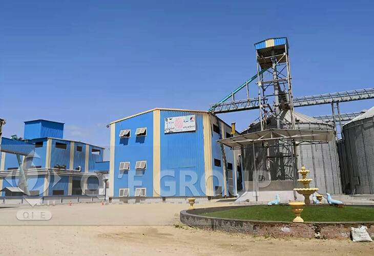 Soybean Oil Production Line In Egypt