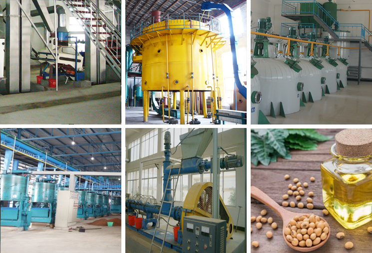 Large Scale Soybean Oil Production Plant