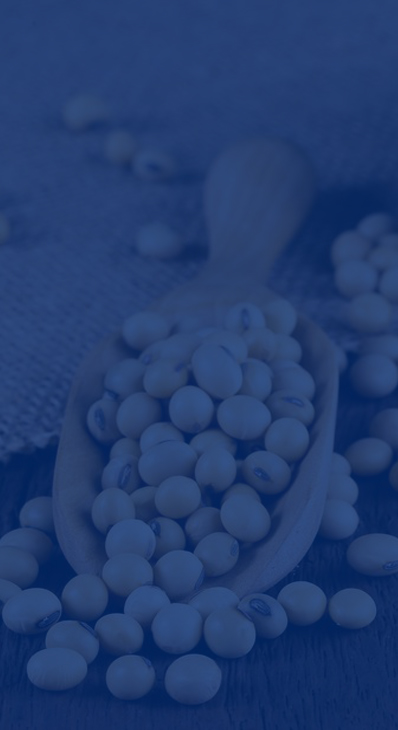 SOYBEAN OIL FOR RAW MATERIALS