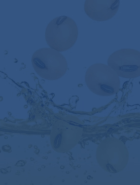 Soybean Oil Mill Plant