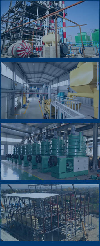 soybean oil plant case around the world